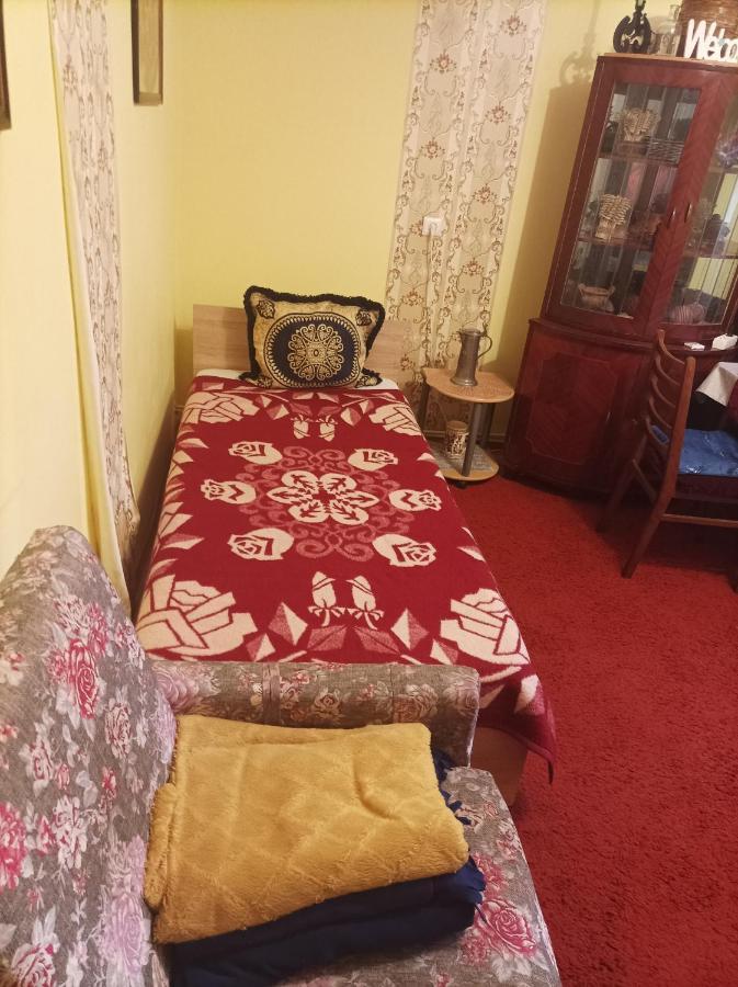Apartament Cu Doua Camere Si Gradina Клуж-Напока Екстер'єр фото