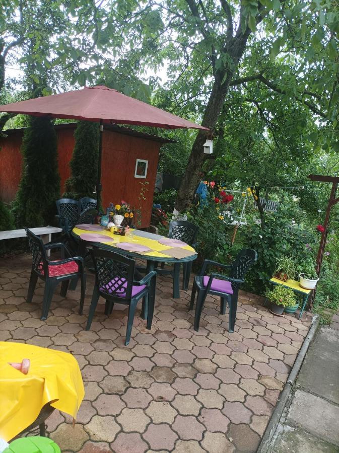 Apartament Cu Doua Camere Si Gradina Клуж-Напока Екстер'єр фото