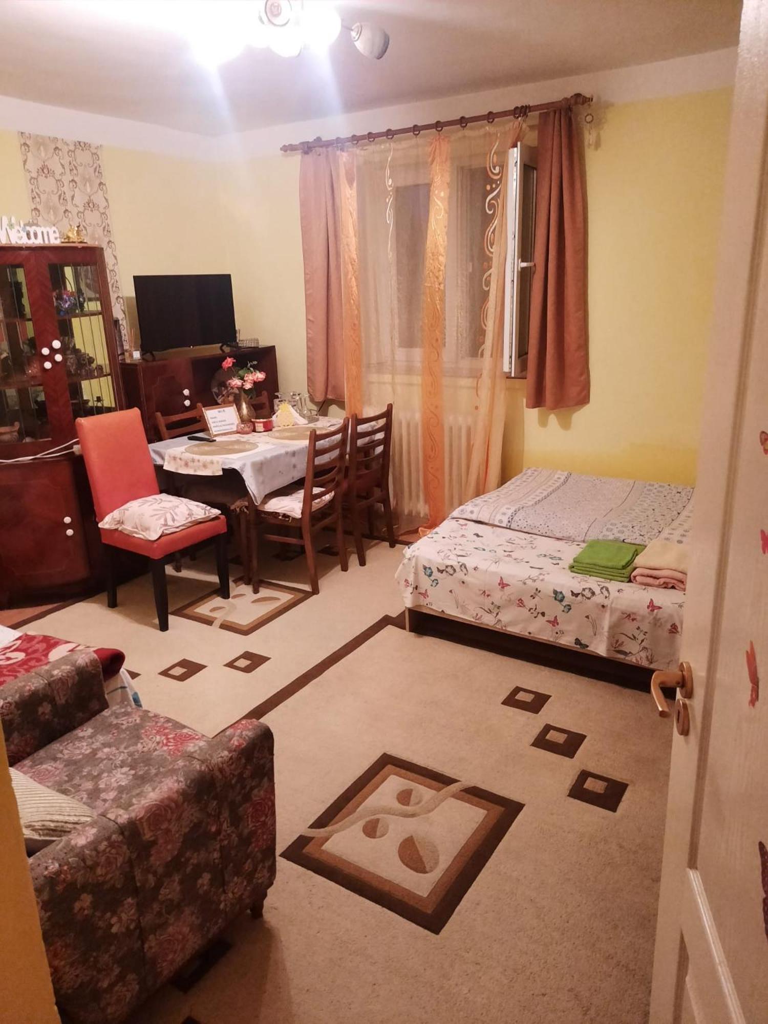 Apartament Cu Doua Camere Si Gradina Клуж-Напока Екстер'єр фото