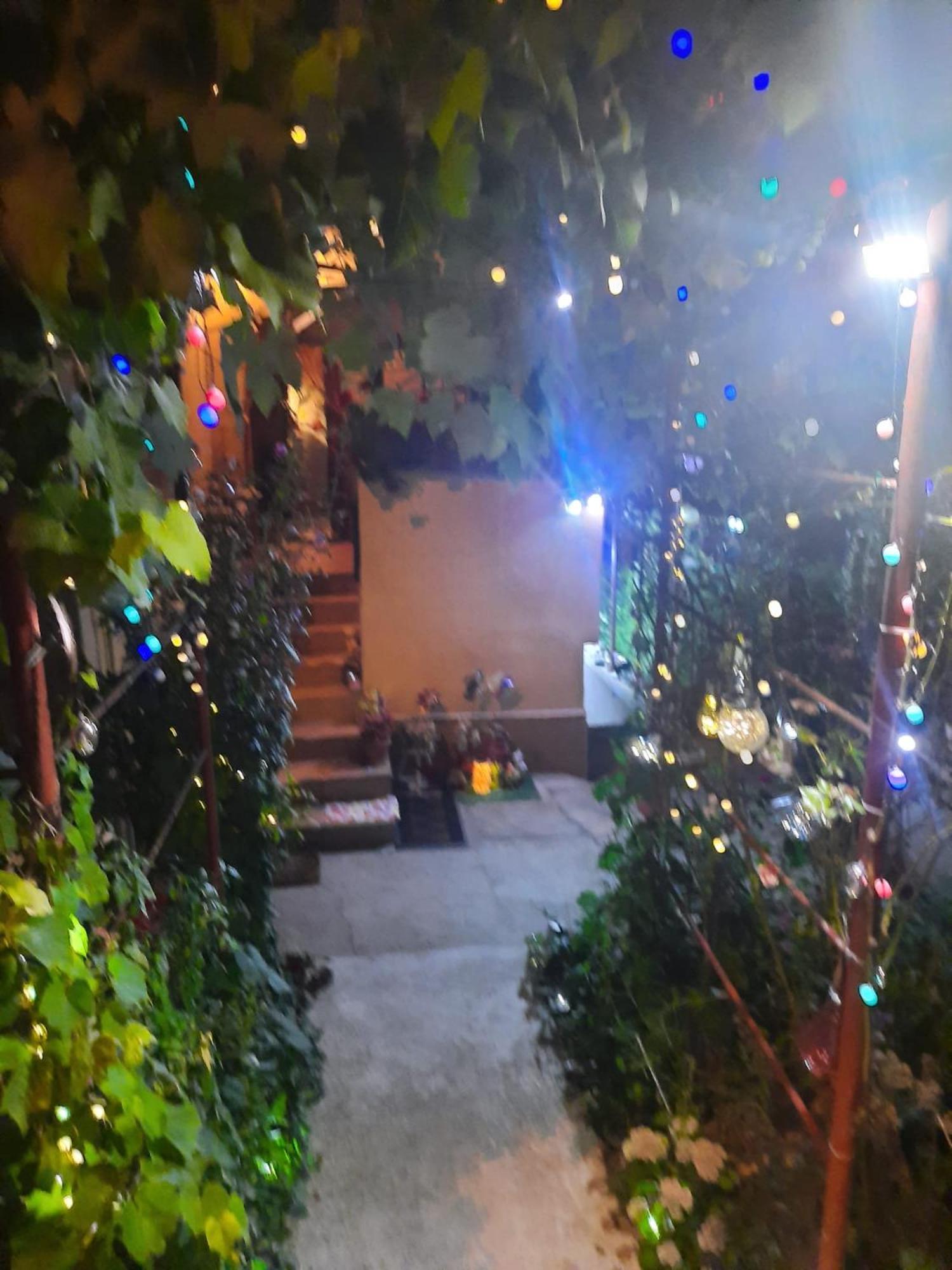 Apartament Cu Doua Camere Si Gradina Клуж-Напока Екстер'єр фото